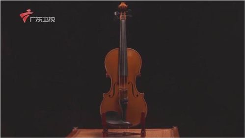 小提琴的制作是很讲究的,它的复原标准是要形神兼具