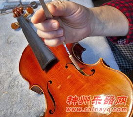 寻访小提琴制作流程